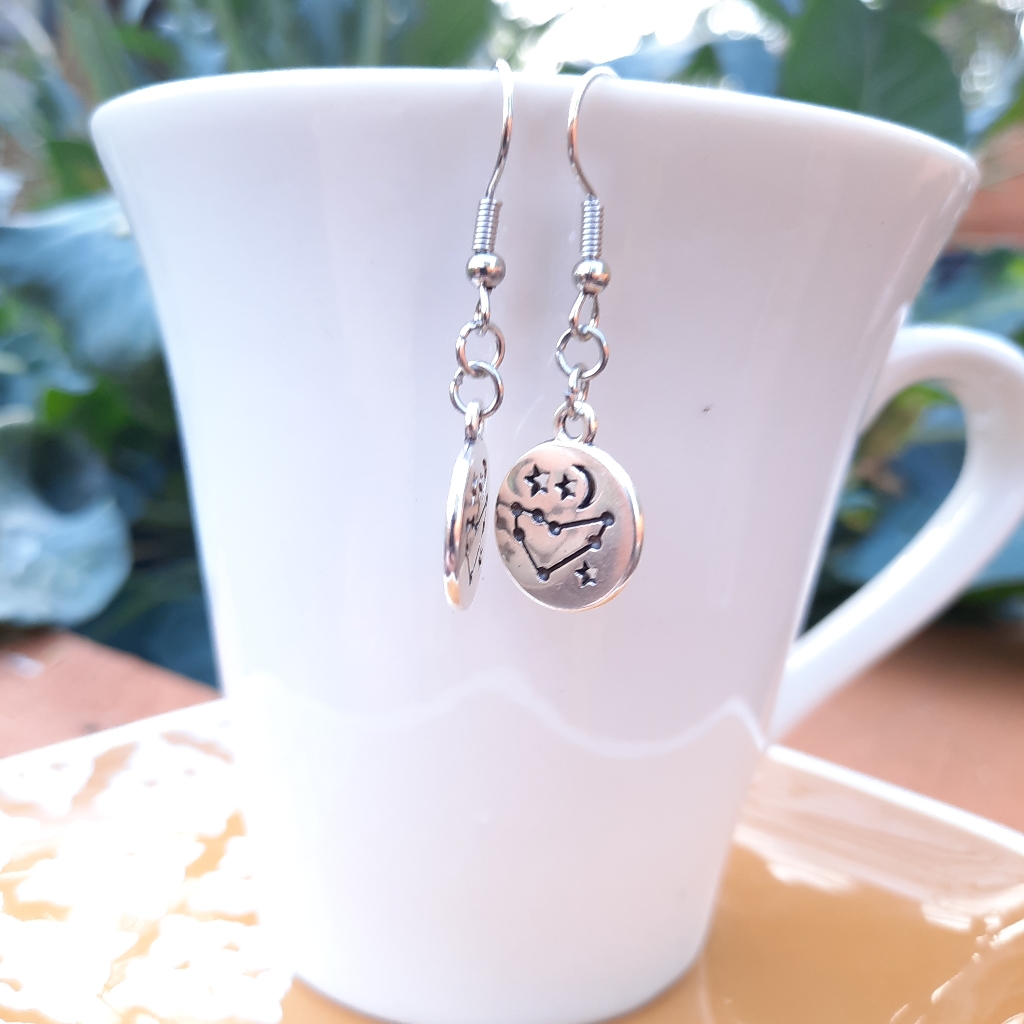 Capricorn Zodiac Constellation Simple Earrings 16$